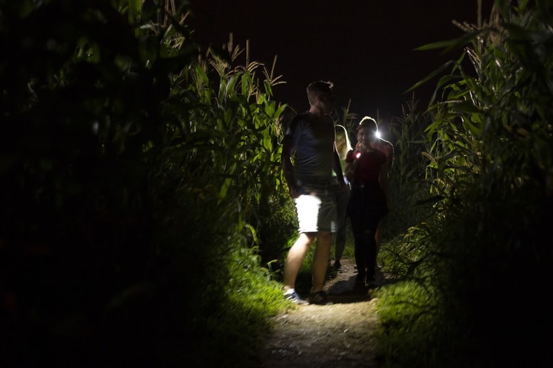 Nočni obisk prinaša povsem drugačno doživetje. 