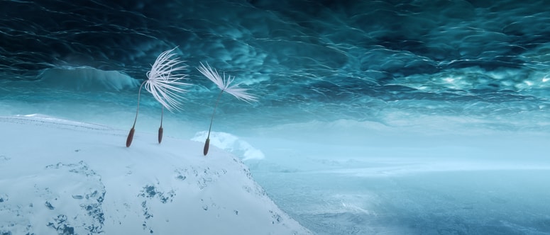 Celovečerni prvenec Momoko Seto Dandelion's Odyssey 