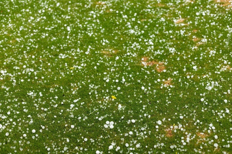Glavna fotografija članka:Nevihte že zajele del Slovenije, spremljajo jih močnejši nalivi in manjša toča