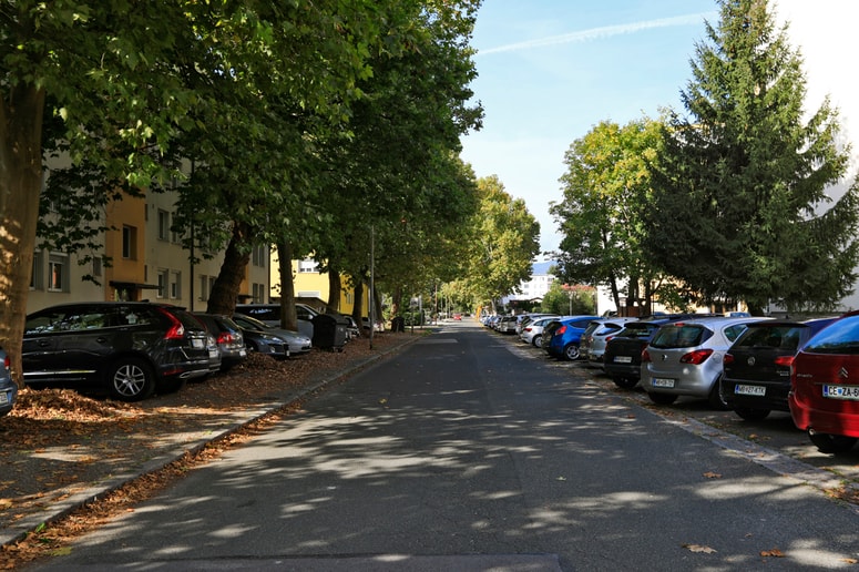 Drevesa so naravna klimatska naprava mesta.