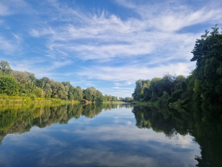 Glavna fotografija članka:(MB-TEDEN) Vrednosti in vrednote na Dravi