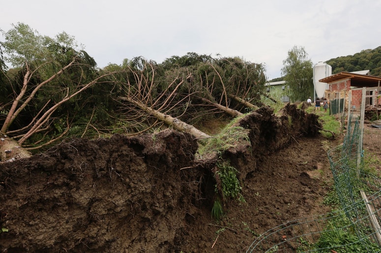 Posledice neurja v naselju Drbetinci. 