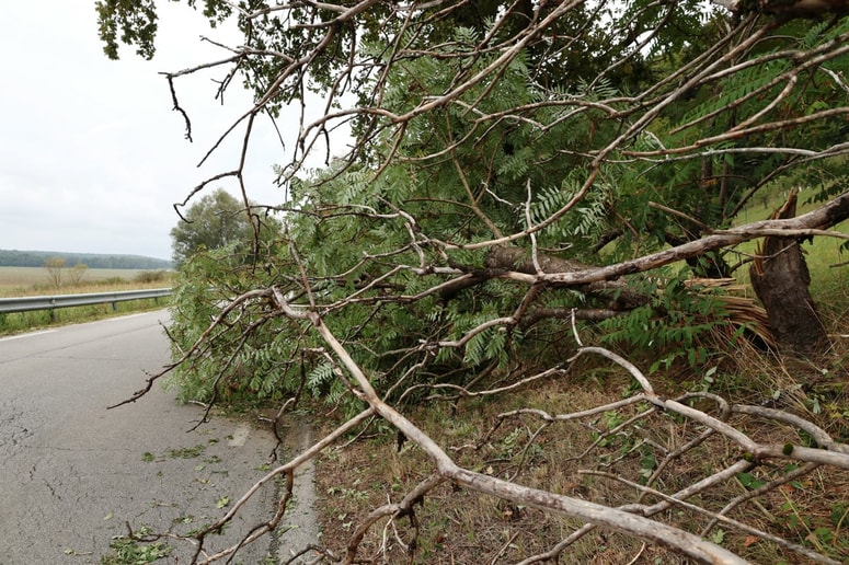Glavna fotografija članka:Prihaja hladna fronta: Ponoči možni močnejši sunki vetra in padavine