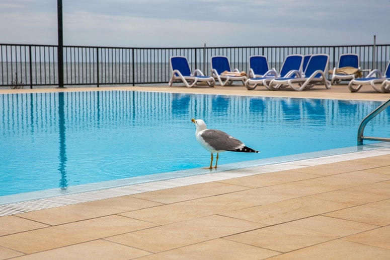 Ukrajinec je razgrajal na bazenu luksuznega hotela.