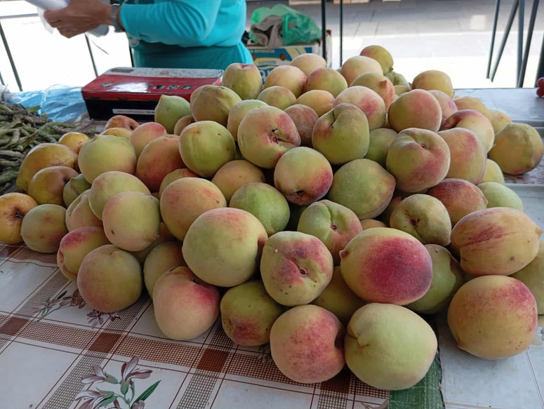 Domače vinogradniške breskve so pogosto manjše, nekoliko bolj žametaste in zelo aromatične. 