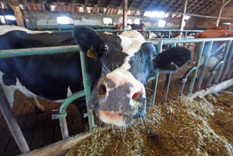 Glavna fotografija članka:(REKLI SO) Nataša Kramberger: Odkar imamo krize