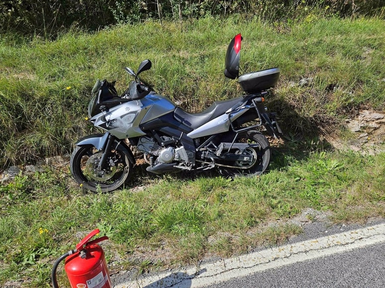 Na cesti Kozina-Divača je motorist trčil v srno