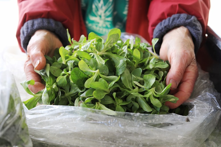 Fogografija je ilustrativna. 