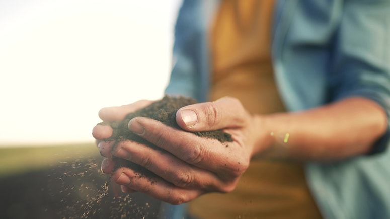 Fotografija je simbolična.