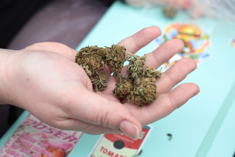 Odkritje tolikšne količine droge kaže na to, da je bil 17-letnik resno vpleten v preprodajo. Fotografija je simbolična. 