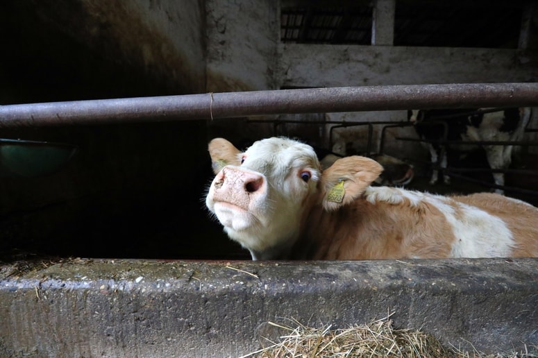 Fotografija je simbolična. 