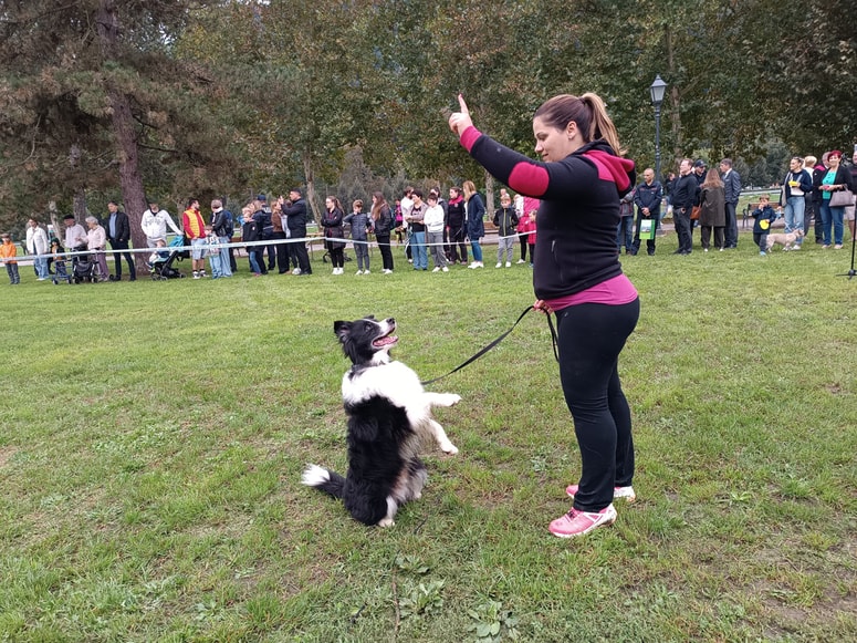 Neda in Ink: tandem, ki ponazarja zaupanje, ubogljivost in ljubezen. Vrline, s katerimi v težkih trenutkih lahko celo rešujejo življenja. 