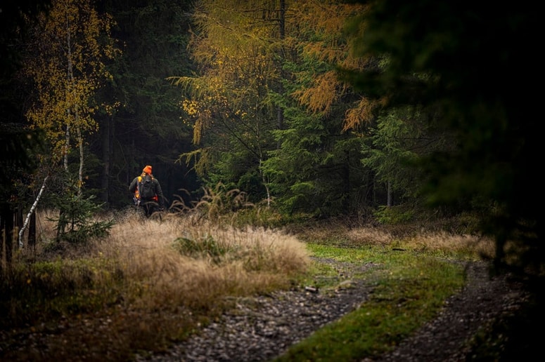 Preiskava skrivnostne smrti treh lovcev na Siciliji razkriva nove, srhljive podrobnosti. Fotografija je simbolična. 