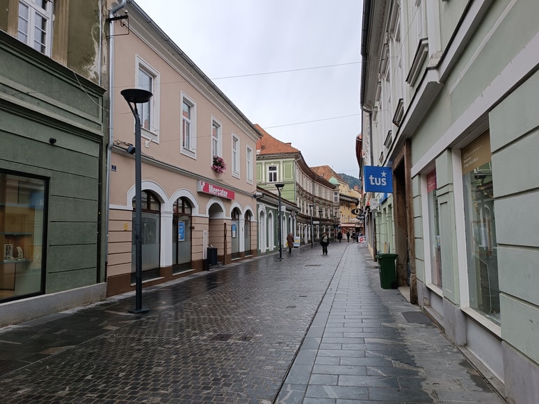 Večina praznih trgovskih in gostinskih lokalov po mestnem jedru v Celju je v zasebni lasti, pravi mestna managerka Tadeja Falnoga. 