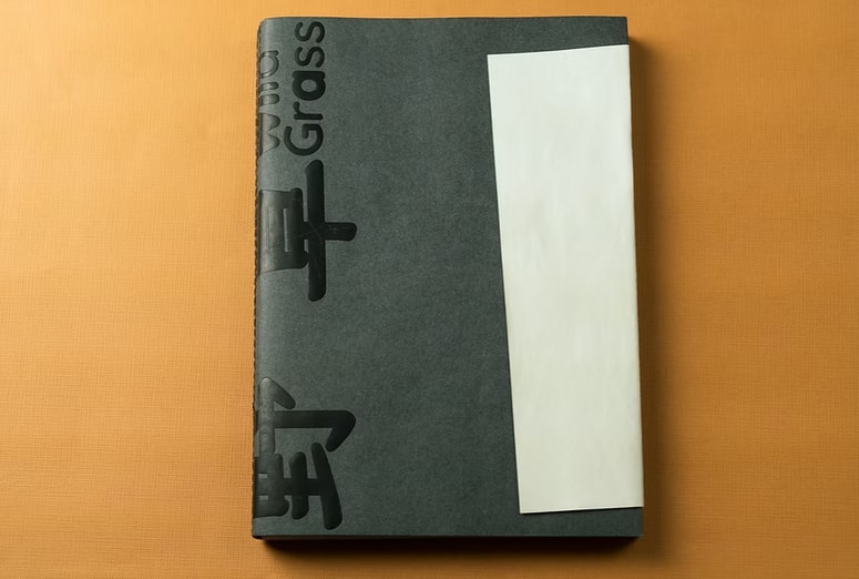 Jin Tian je odraščala na Kitajskem v osemdesetih letih in bila priča pretresljivim posledicam politike enega otroka. 