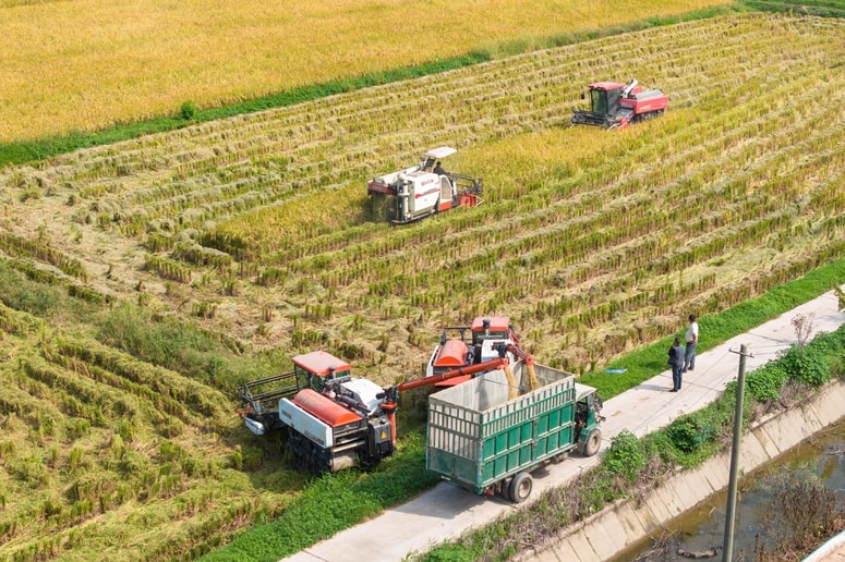 Fotografija je simbolična. 