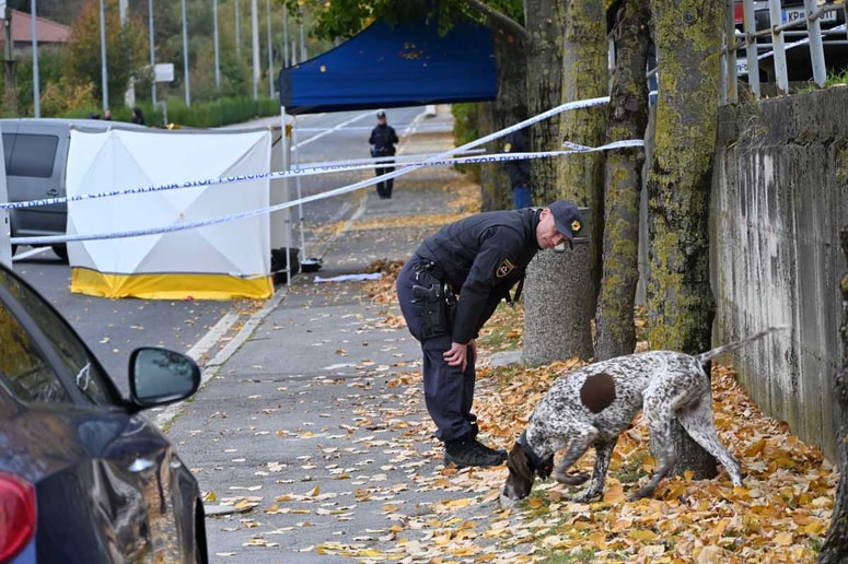 Kriminalisti so ves dopoldan iskali sledi streljanja, tudi s pomočjo službenega psa za iskanje tulcev. 