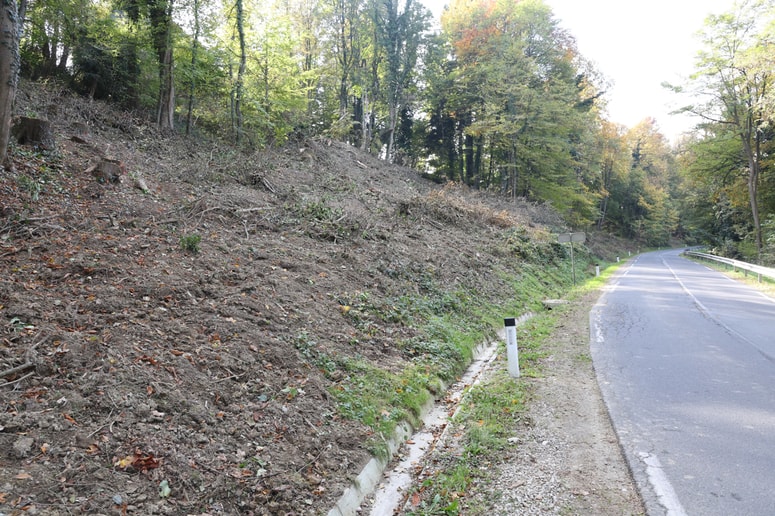 Ena stran govori o zagotavljanju prometne varnosti, druga o uničenju dela kulturnega spomenika. 