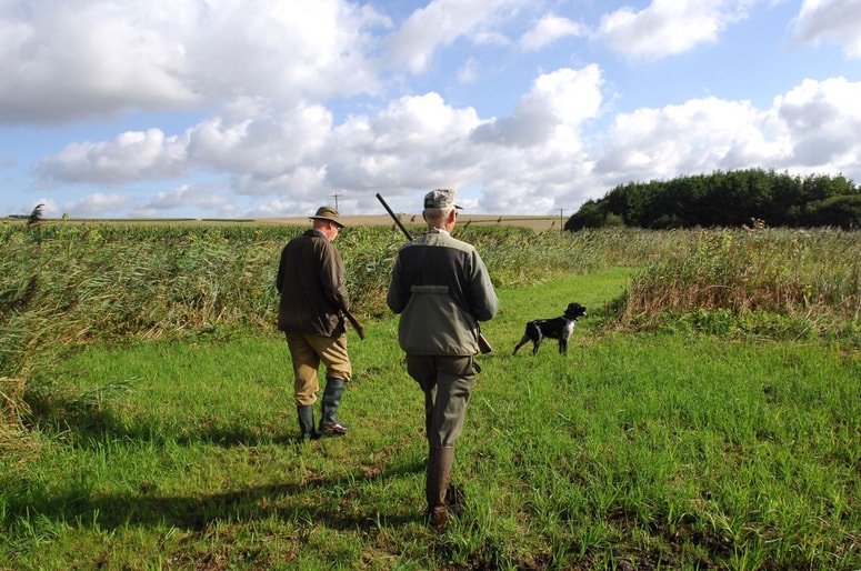 Lov na prašiče se je v petek opoldne za dva lovca lovske družine Vreme končal s prestreljeno nogo. Fotografija je simbolična.