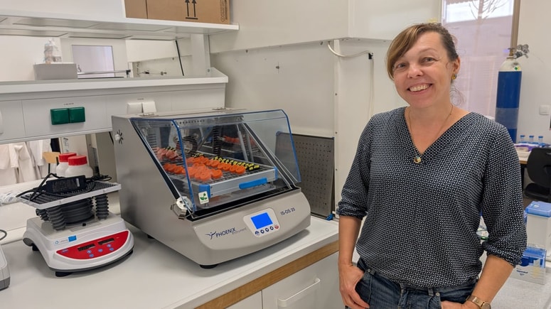 Večina raziskav poteka v laboratoriju za žive inženirske materiale, ki je bil ustvarjen posebej za ta projekt.