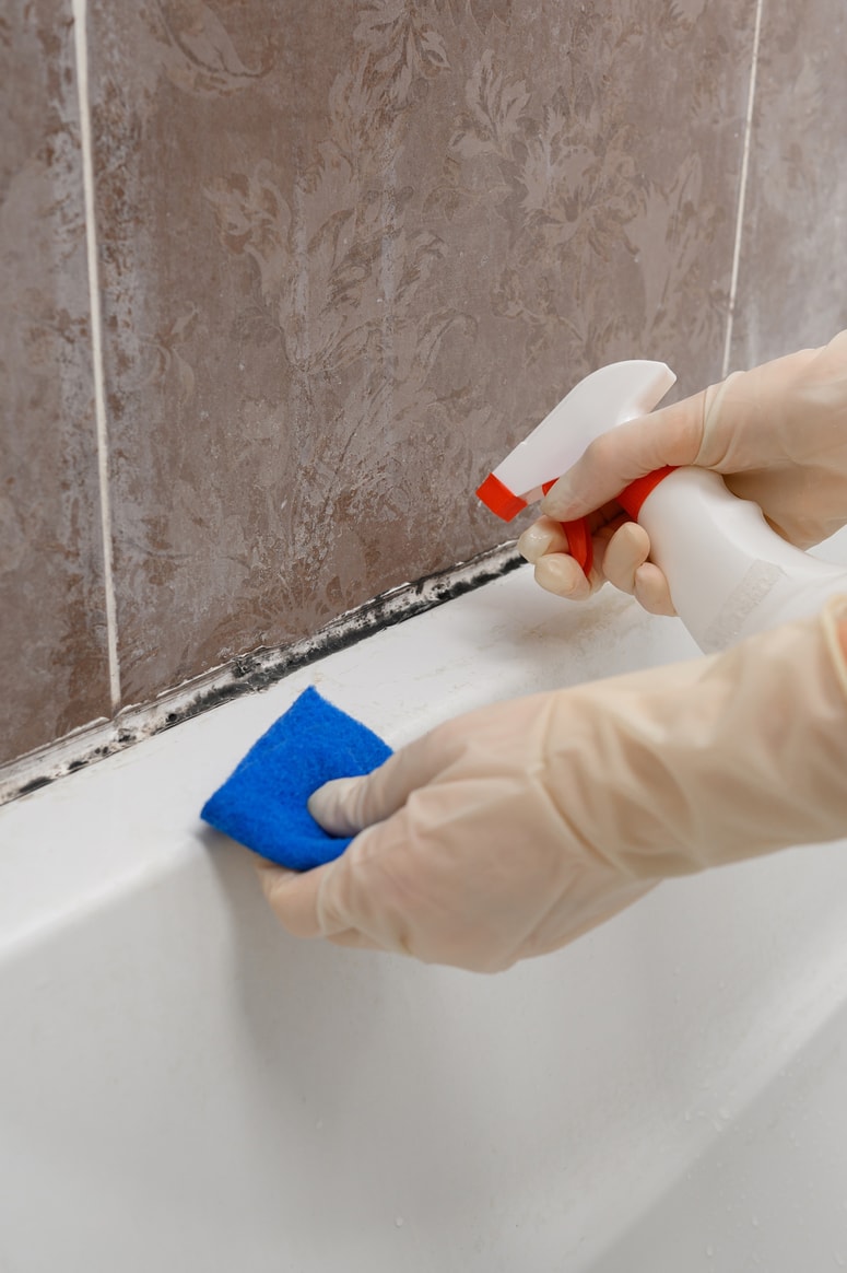 Čiščenje je lahko tudi donosna služba, dokazuje primer Beograjčanke.