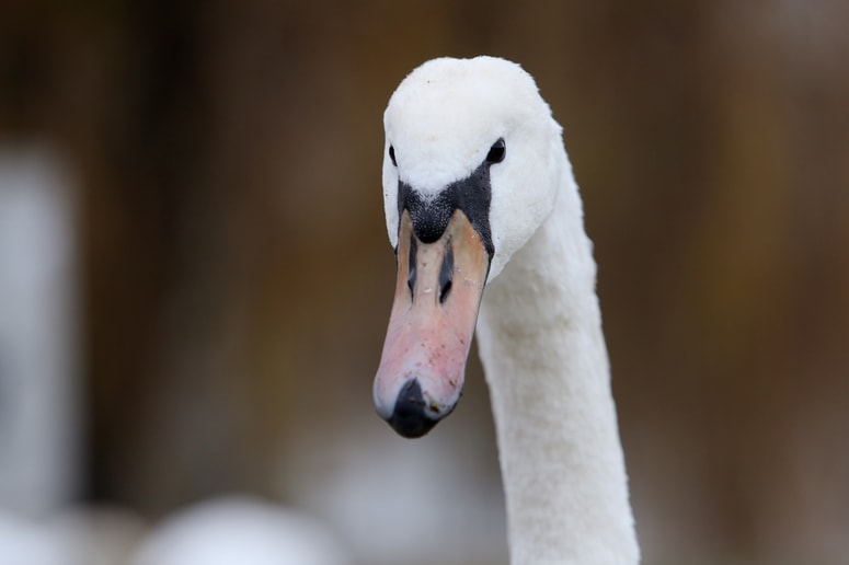 Fotografija je ilustrativna. 