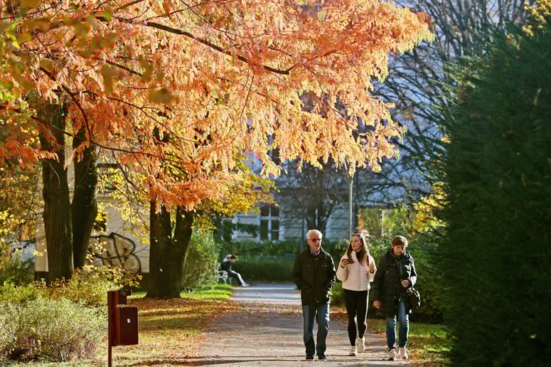 V oktobru se je temperatura dolgo vrtela okoli povprečja, je bil pa precej hladen začetek meseca.