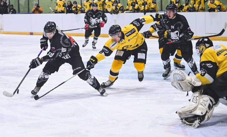 Glavna fotografija članka:Lisjaki z Dunaja praznih rok