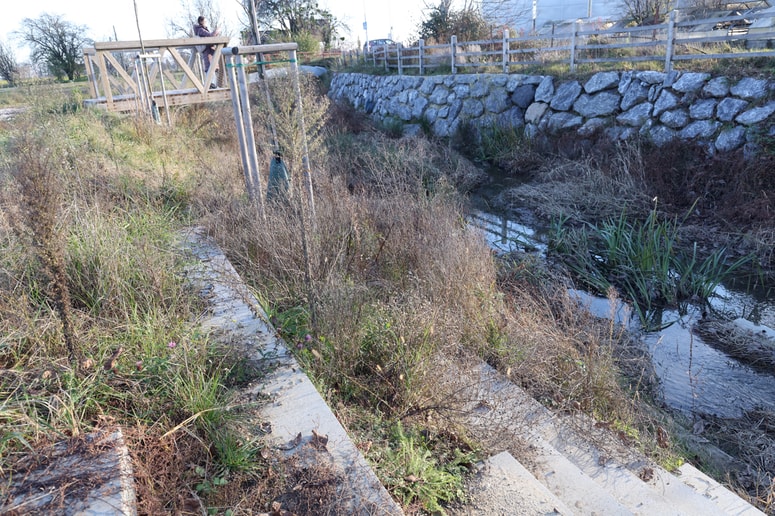 V zadnjih mesecih je trava deloma prerasla strugo, brežine in nove zasaditve, pa tudi kamnite plošče in betonske pragove. Del območja so te dni vendarle nekoliko uredili, del pa ostaja takšen. 