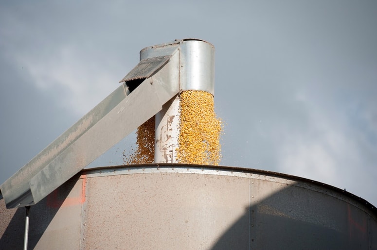 Fotografija je simbolična. 