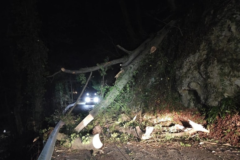 Glavna fotografija članka:(FOTO) Na cesto padli drevesi v trenutku, ko je mimo peljalo osebno vozilo