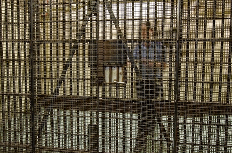 Glavna fotografija članka:Zgodba paznice, ki je padla v prepovedano razmerje z obsojenim posiljevalcem