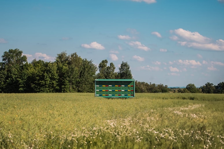 Letošnja letina zadostuje za domačo uporabo. 