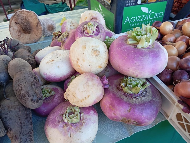 Repa je pozimi stalnica na stojnicah osrednje tržnice. 
