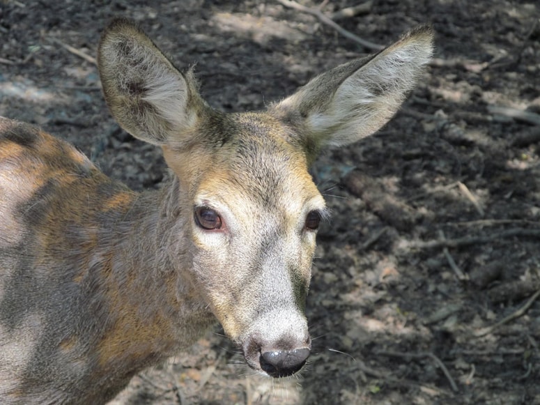 Fotografija je simbolična. 