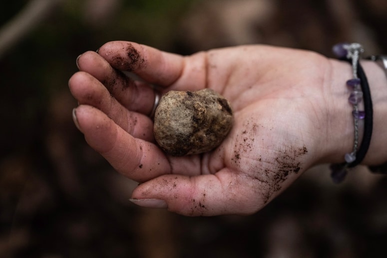 Fotografija je simbolična. 