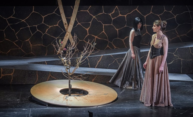 Opera Blühen (Razcvet) 