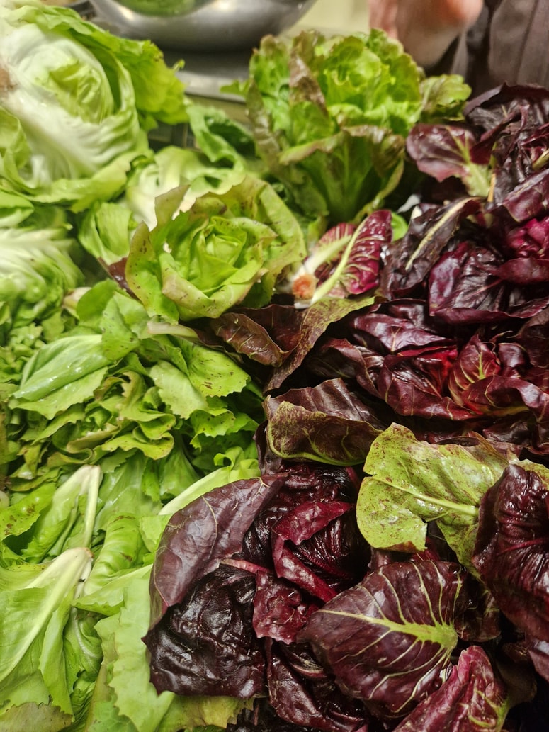 Letošnji radič na mariborski tržnici je zelo raznolik. 