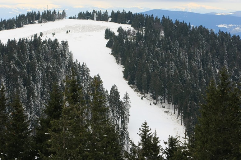 Smučišče na Kopah je izvzeto iz Regijskega parka Pohorje. 