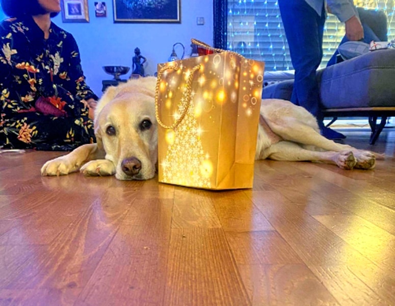 Fotografija je simbolična. 