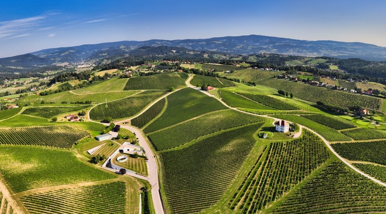 Škalce so zaščitene kot naravna in kulturna dediščina, zato bodo za potrebe hotelskega kompleksa obnovili obstoječe hiše, kar bo dalo destinaciji izrazito butičen značaj.
