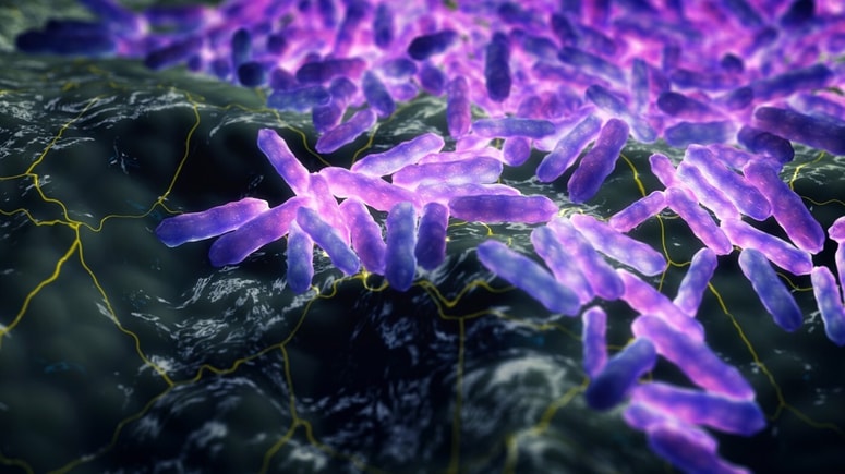 Glavna fotografija članka:Na Hrvaškem potrdili prvi primer nalezljive bolezni, za katero na pamet mislimo, da je izumrla