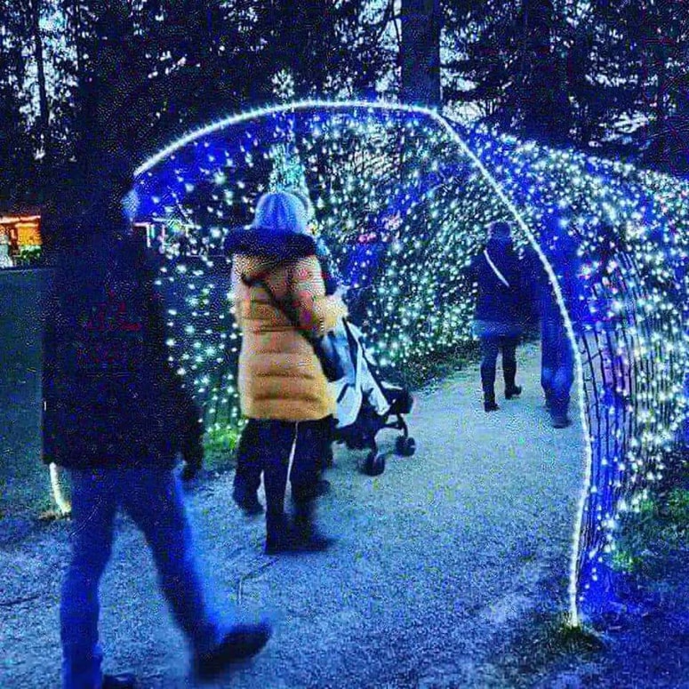 Letošnja tema bajke je Ne morem brez tebe! 