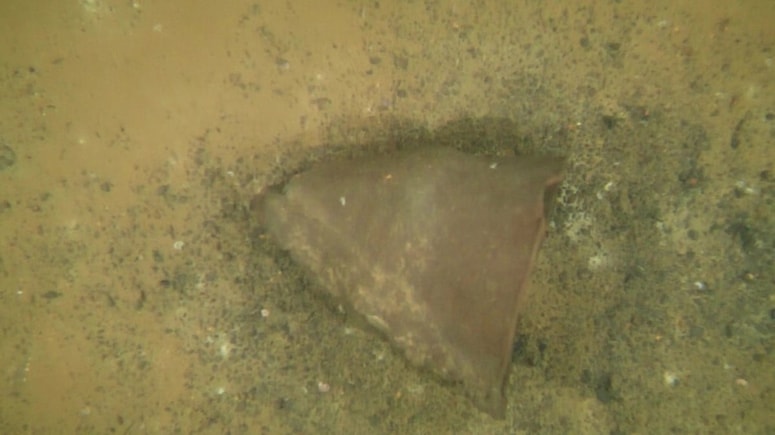 Posebnost najdbe je, da je bila posoda odkrita v popolnoma pokončnem položaju, brez vidnih poškodb, kar je za predmet takšne starosti izjemno redko.