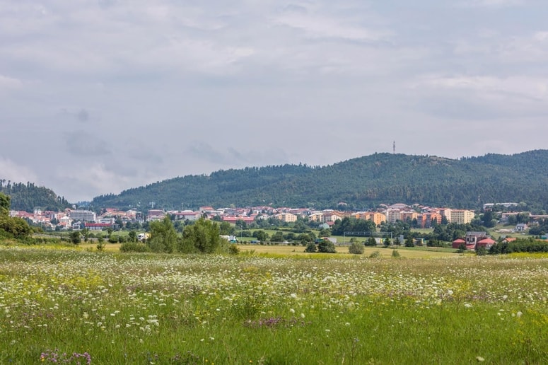 Zgodilo se je v Postojni ...