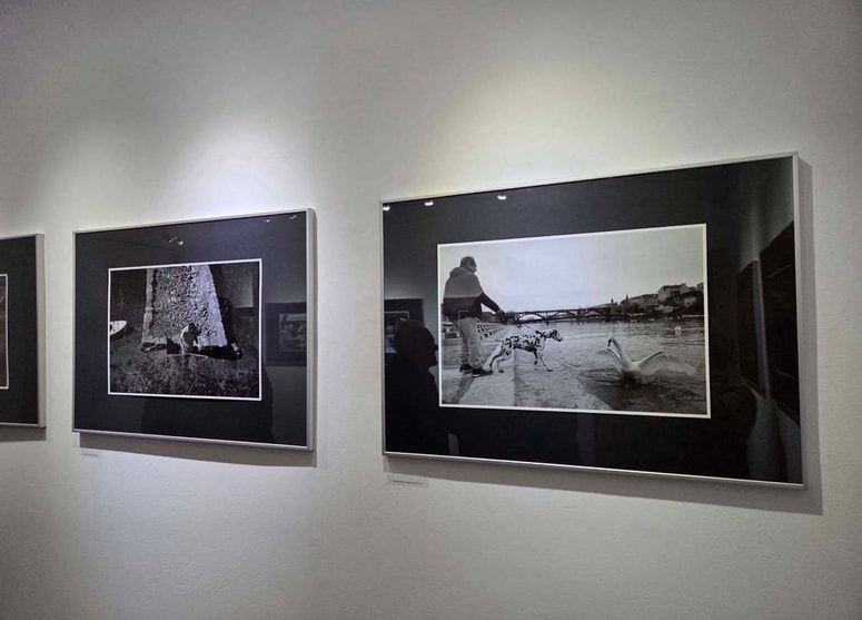 Fotografi zabeležijo vsakodnevne in izjemne dogodke. 