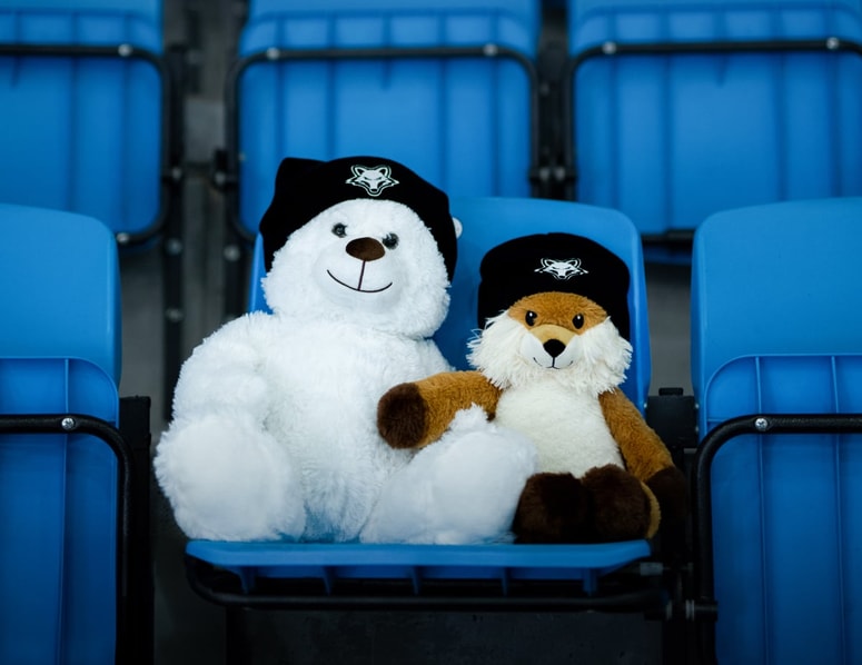 V Ledni dvorani Tabor je vse nared za metanje medvedkov. 