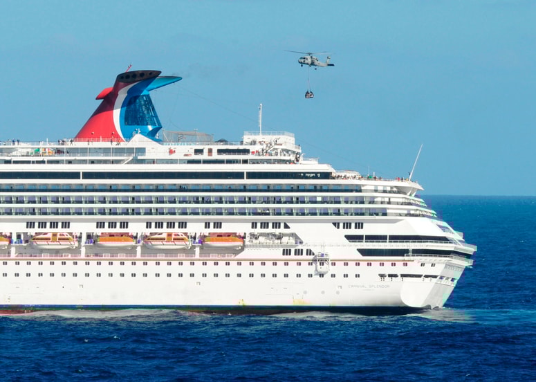 Z virusom se je okužilo kar 89 ljudi, med njimi 81 potnikov in osem članov posadke. Fotografija je simbolična. 