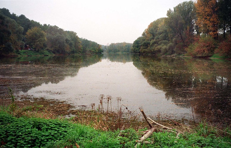 V Donavi naj bi že zaznali prisotnost amonijaka. Fotografija je simbolična.