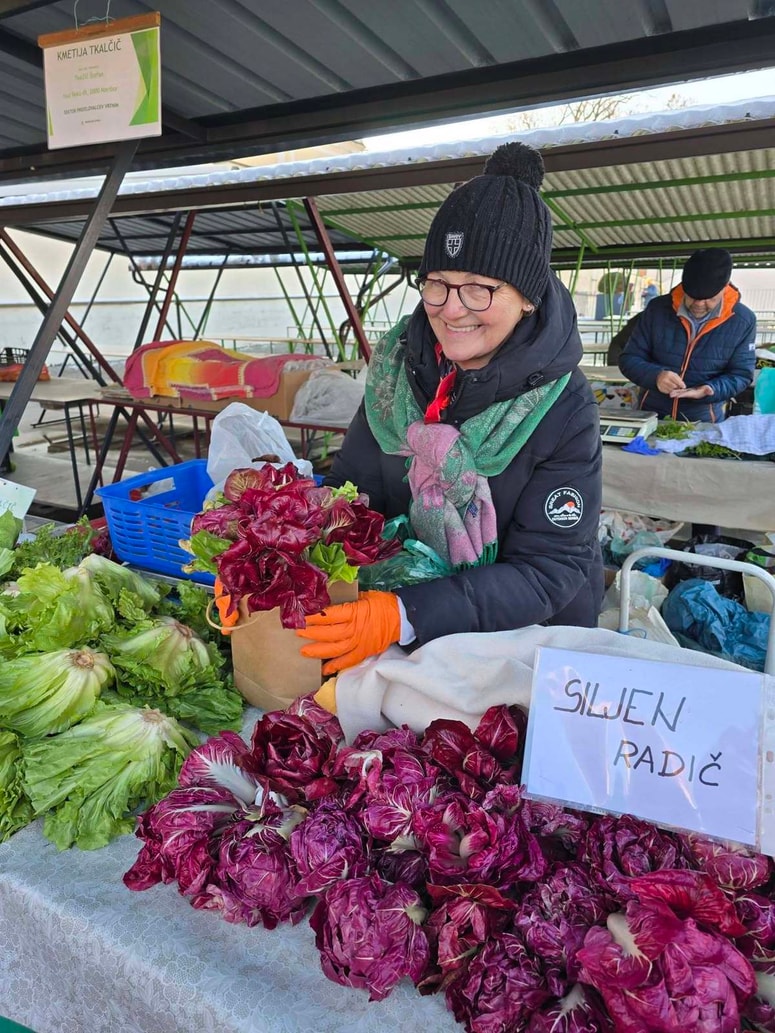 Letos je letina dobra, siljeni radič Kmetije Tkalčič bo na voljo ob sobotah na osrednji tržnici, ob petkih pa tudi doma v Dogošah. 
